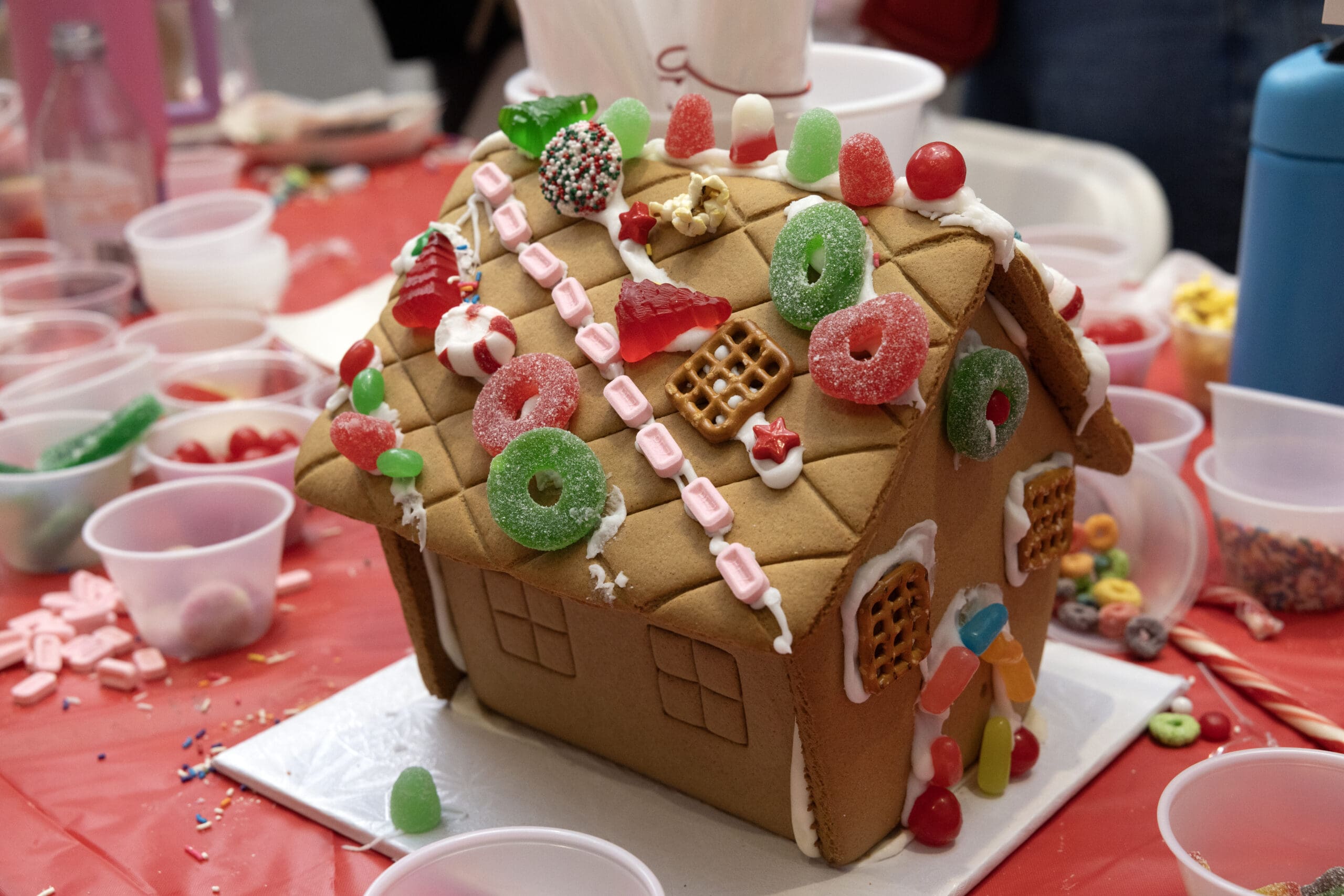 Tri Delta Cookies & Castles 2025 (Photo by Allison Slomowitz - Photographer, Scottish Rite for Children)