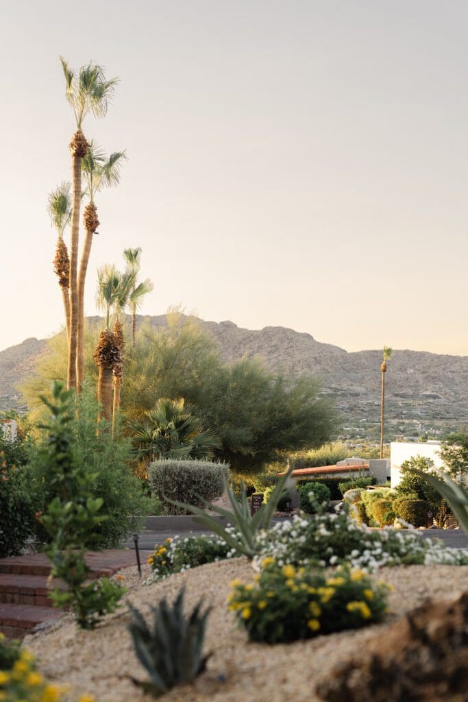 Sanctuary Camelback Mountain delivers on the tranquility promised in its name. (Photo by Sanctuary Camelback Mountain)