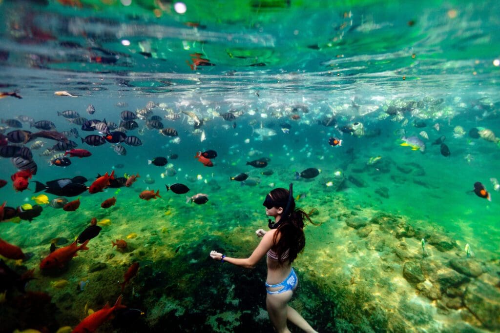 A 1.8-million-gallon lava rock aquarium, King's Pond houses 4,000 tropical fish and a spotted eagle ray. (Photo by Four Seasons Resort Hualalai)