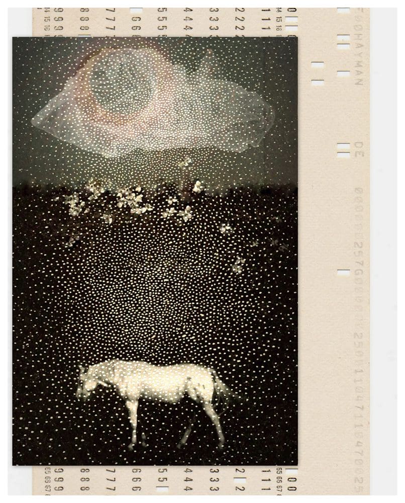 Linda Plaisted Number_the_Stars