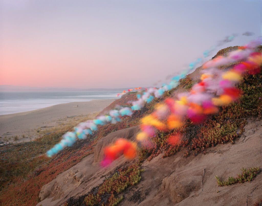 Thomas Jackson’s "Tulle No. 8," 2020 (Courtesy of the artist)