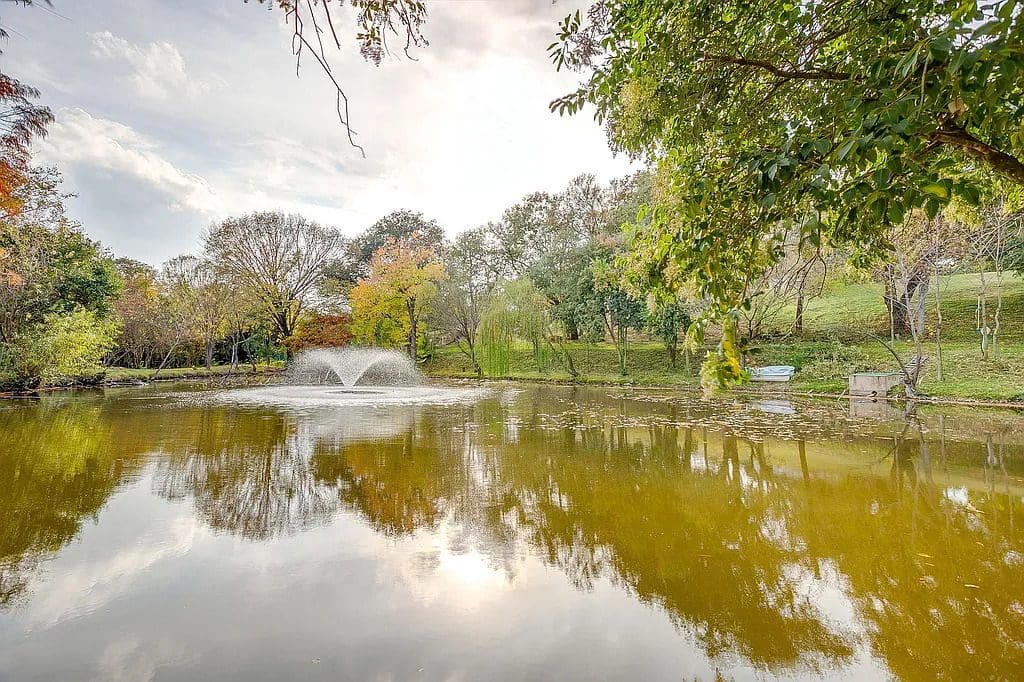 A larger pond anchors part of the grounds at 4301 Briarhaven Road, complete with a central fountain and surrounded by gently sloping banks and dense tree cover. (Courtesy)