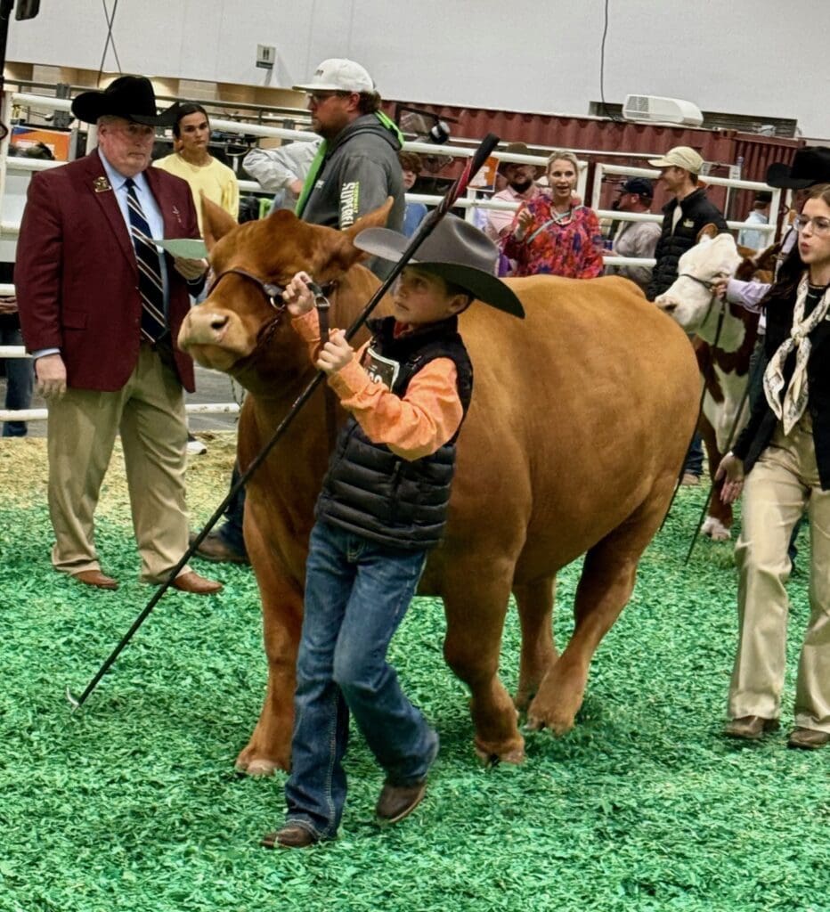 Houston’s Rodeo Auction Angels Swoop In To Save the Day — Making Sure Hard-Working Kids Get Rewarded