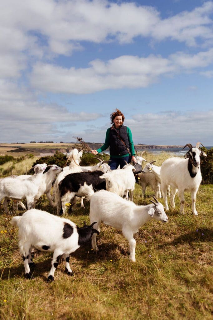 Jillian McEwan tending to her herd of Scottish Cashmere goats at Lunan Bay Farm in Angus, showcasing regenerative farming practices and the farm’s Scottish Cashmere and goat experience offering along the Angus coastline.