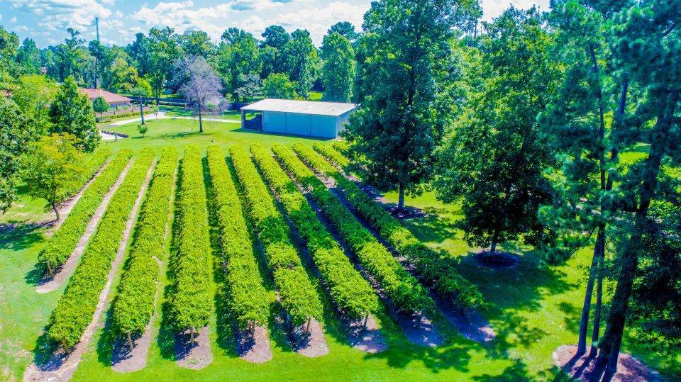 A Woodlands-Area Winery Just Crushed the Competition — Wild Stallion Vineyards Goes Double Gold