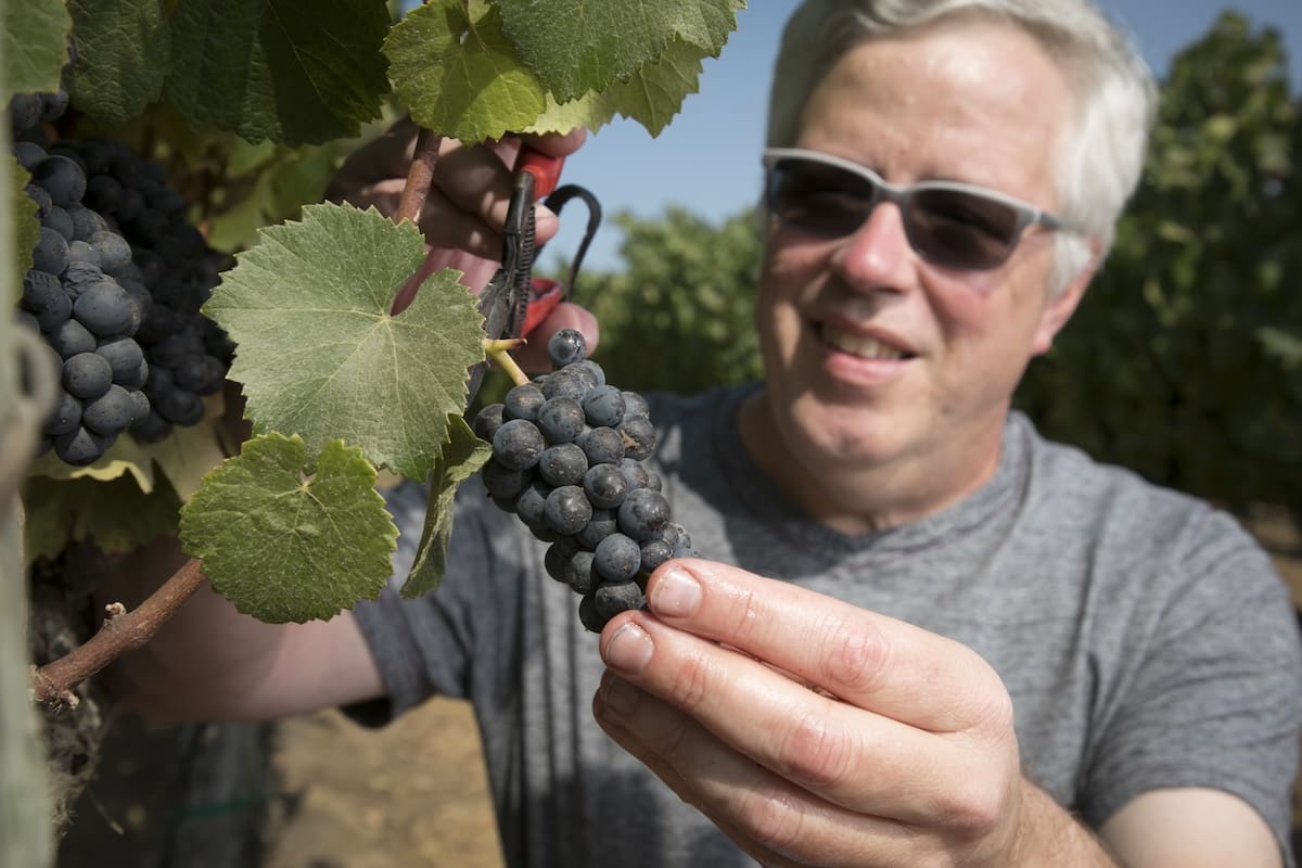 For the Love Of Pinot Noir and French History With a Texas Twist — Adam Lee’s Remarkable Wine Rise Began In Austin
