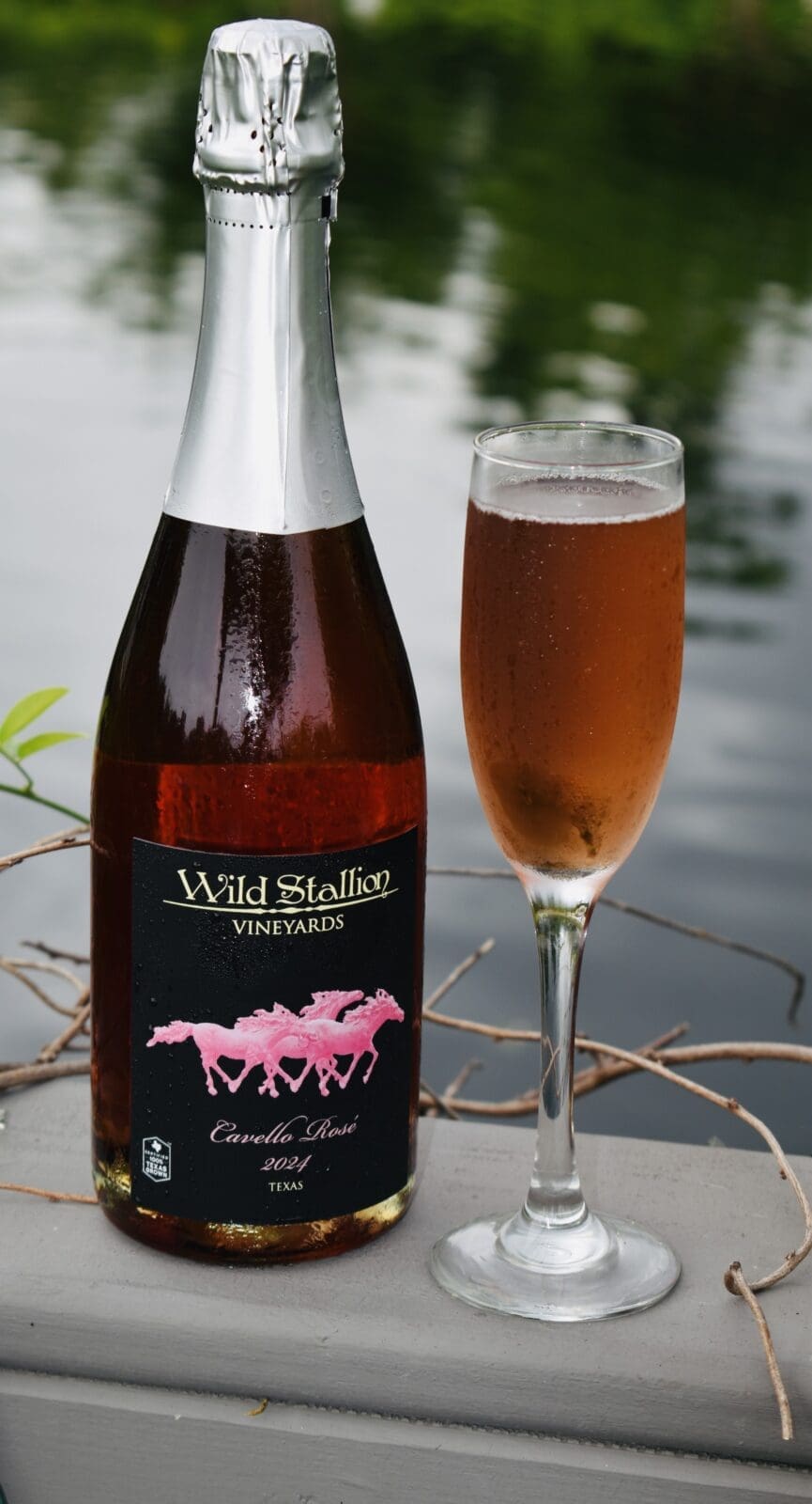 Wild Stallion Vineyards’ 2024 Cavello Rosé was the only sparkling wine to earn double gold at the 2026 National Small Producer’s Wine Invitational. (Photo courtesy Wild Stallion Vineyards)