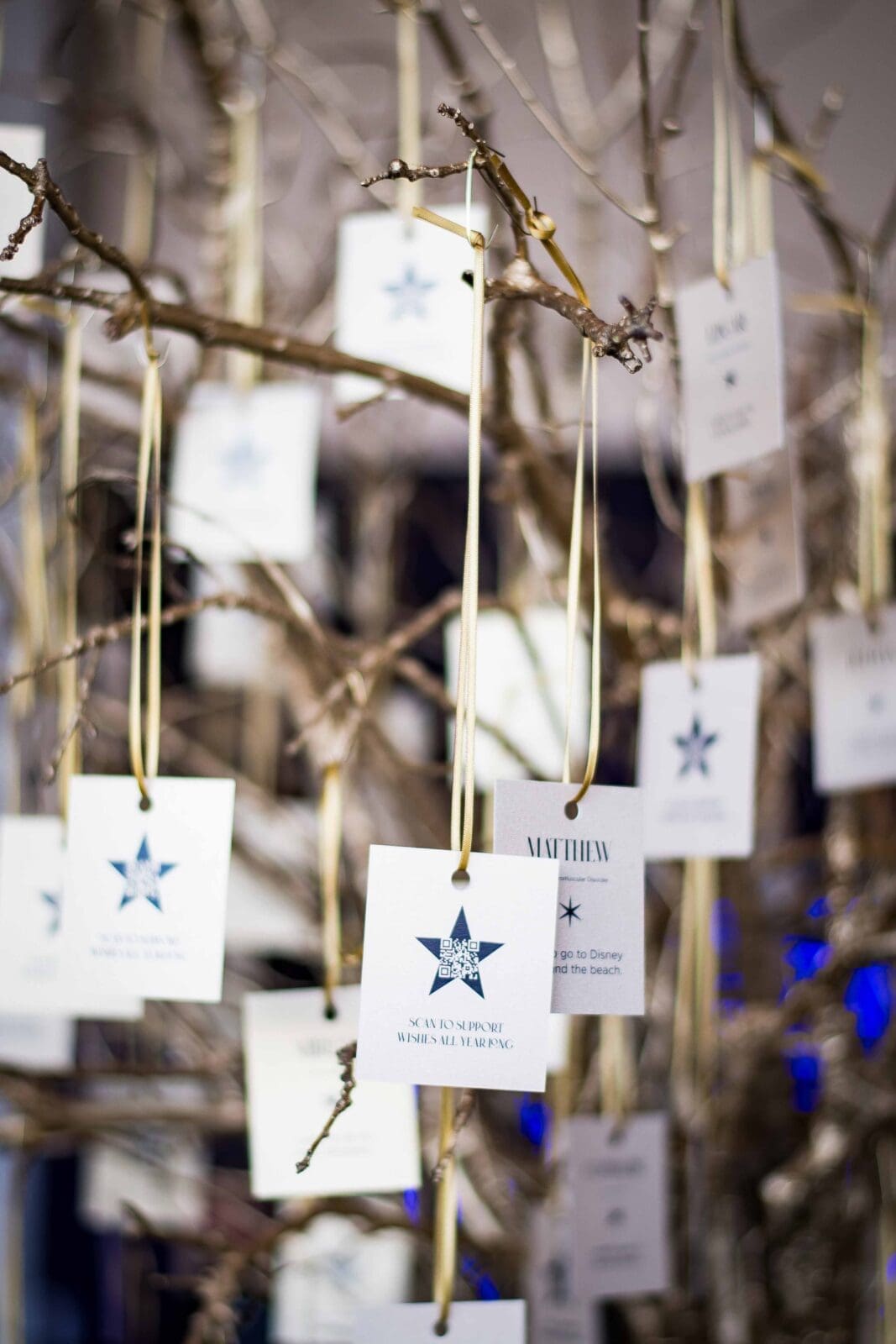 The storytelling-focused programming during the gala enabled the organization to demonstrate its mission in action. (Photo by Kelly Alexander)