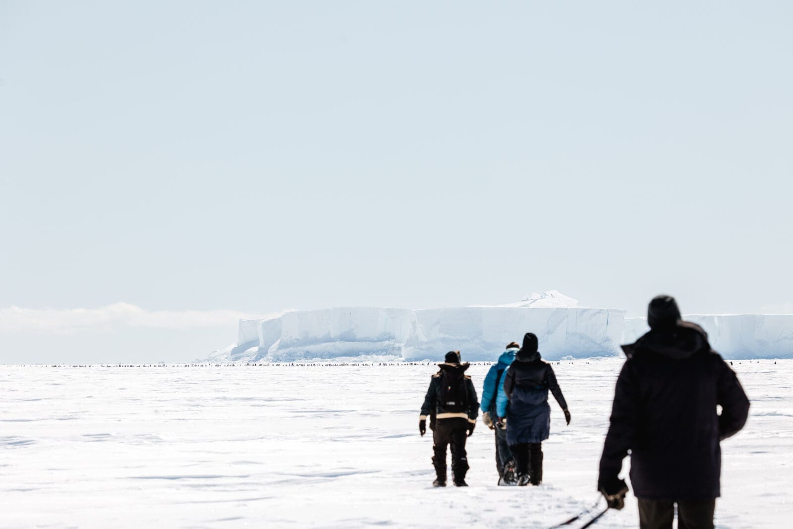 White Desert itineraries range from a single-day expedition to multi-night journeys of up to eight nights on the continent.
