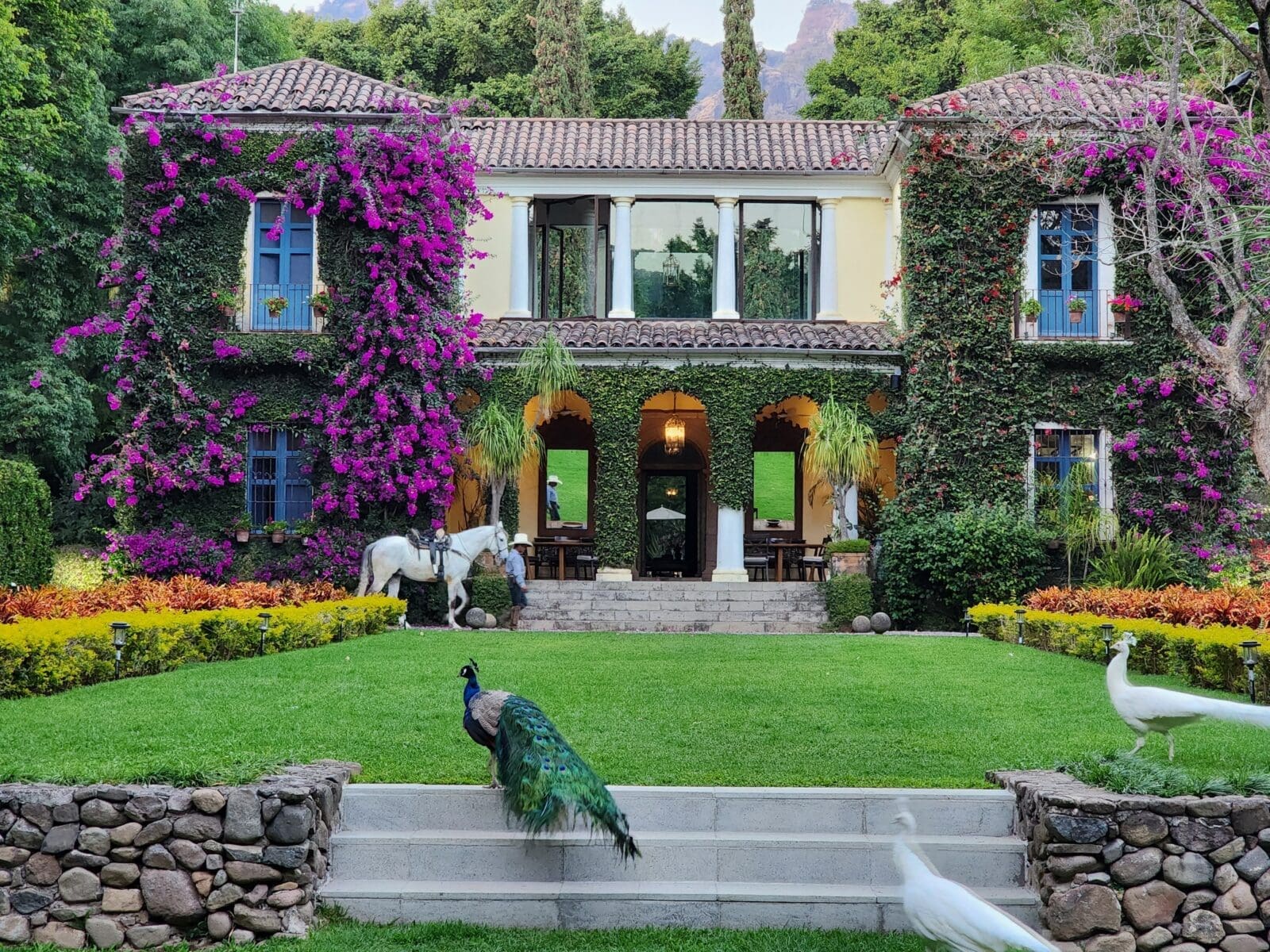 Feronia, offering luxurious privacy amid six acres of exquisite gardens in the inland Mexico village of Tepoztlán, is the perfect setting for fairytale weddings and rejuvenating wellbeing retreats. (Photo courtesy of Feronia) 