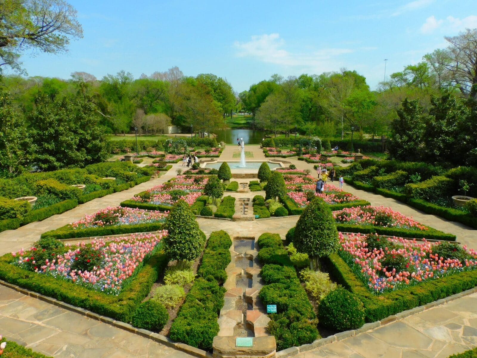 Whether serving as the backdrop for unforgettable weddings, welcoming families to holiday light displays, or hosting outdoor concerts, the Fort Worth Botanic Garden has long been one of the city’s most cherished gathering places. (Courtesy)
