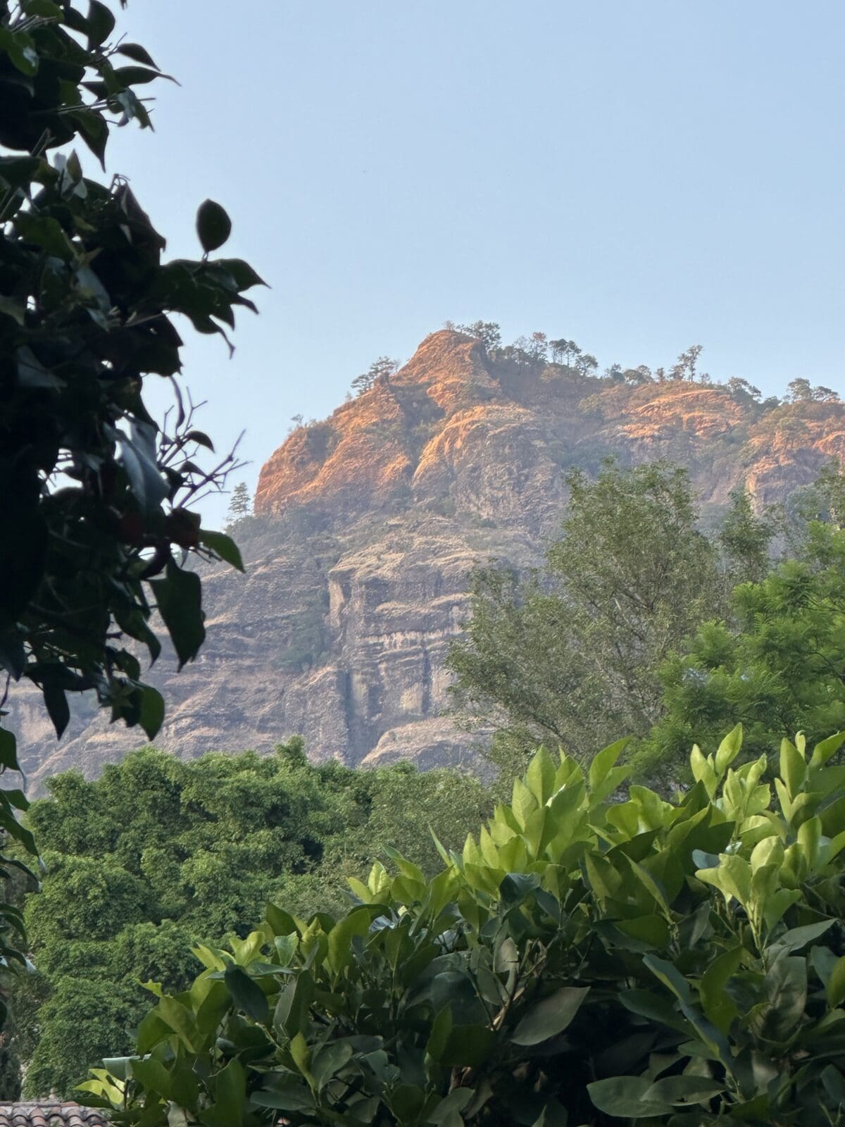 The imposing Tepozteco mountains provide a dramatic backdrop to the Feronia grounds. (Photo by Shelby Hodge)