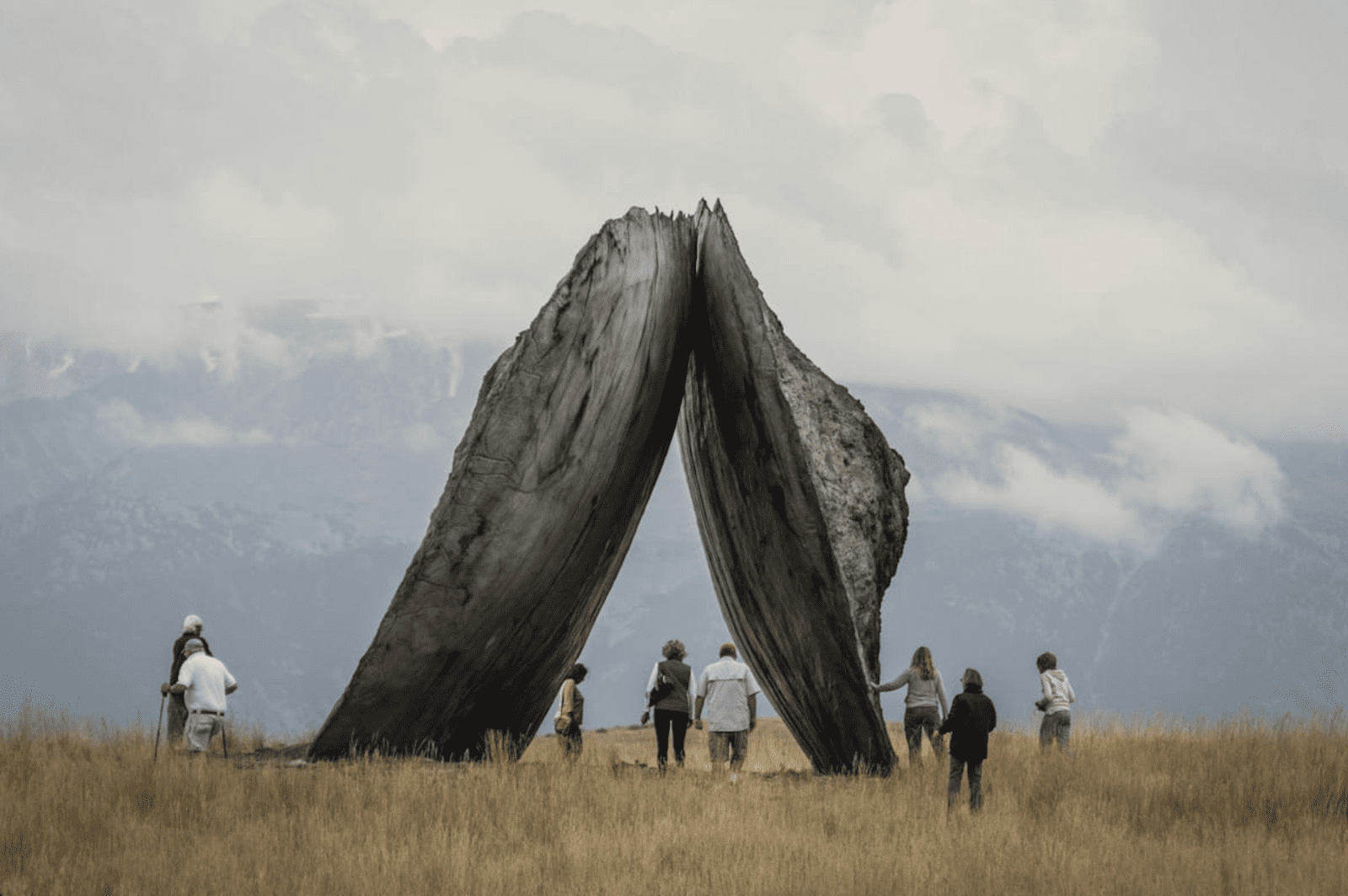 One of our editors is headed to Tippet Rise Art Center in Montana this summer.