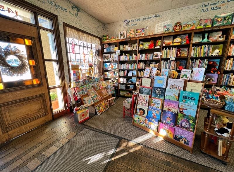 children blue willow books houston