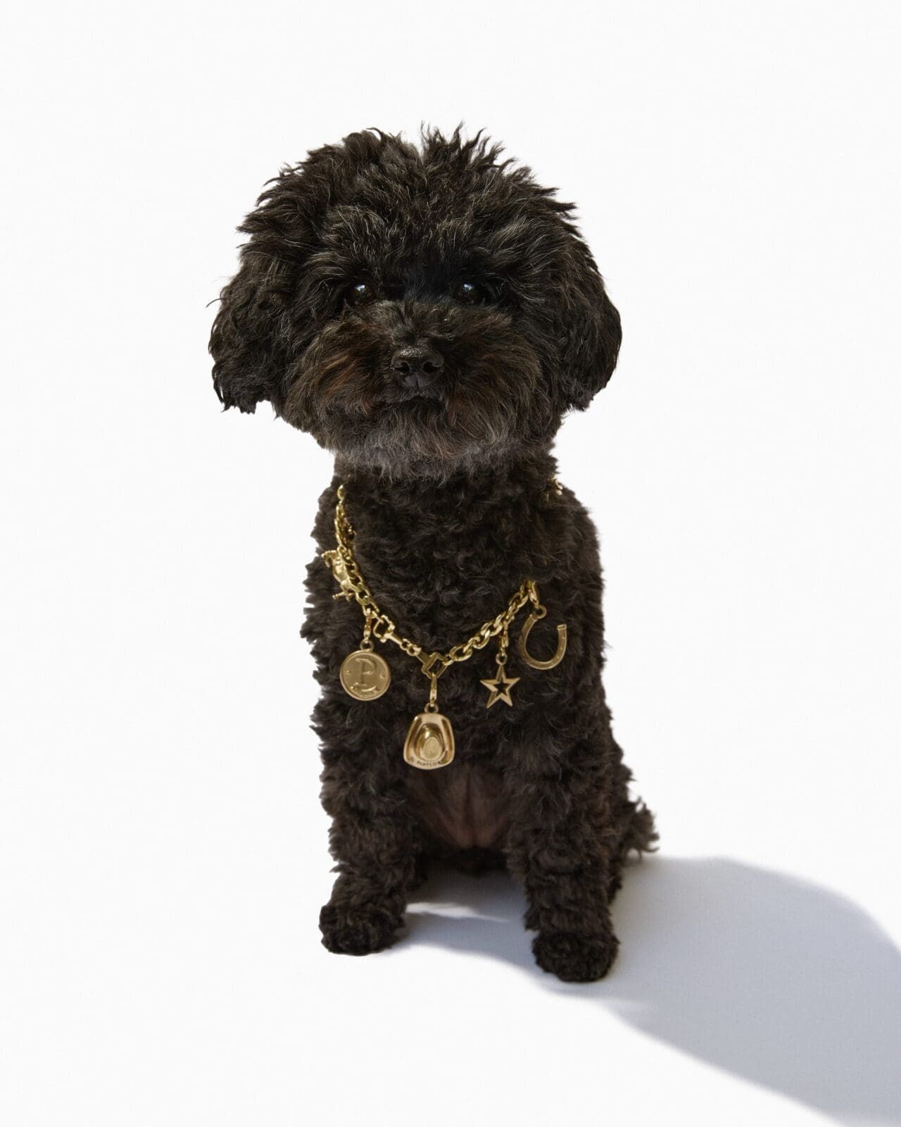 Appropriate for boots and pups, Partlow boot jewelry is popular for all.